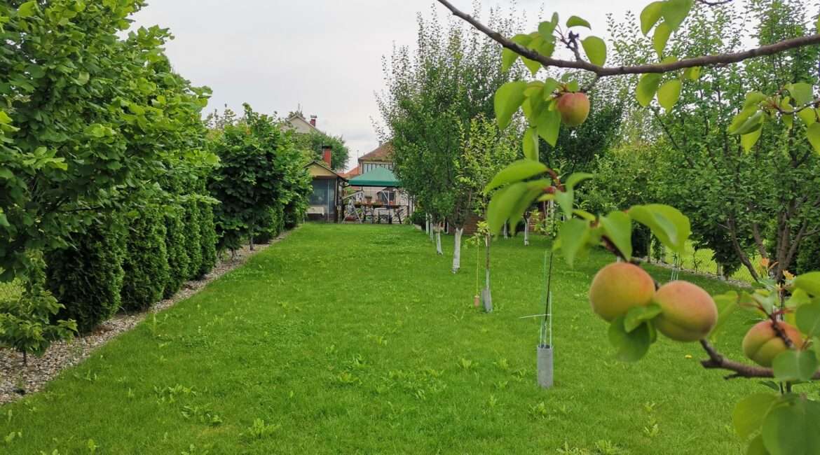 Restoran 151m2 + stambeni objekat  150m2+ plac 12 ari u Novoj Pazovi