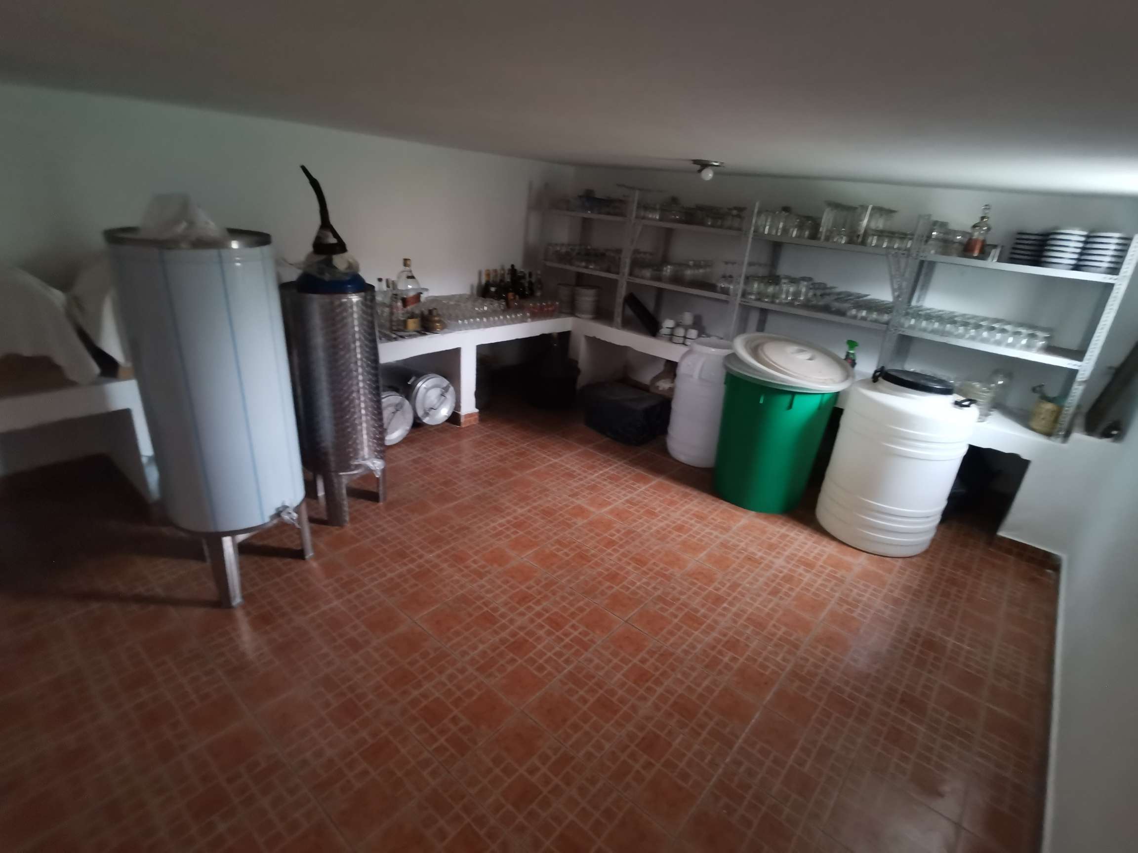 IMG 20230617 143345