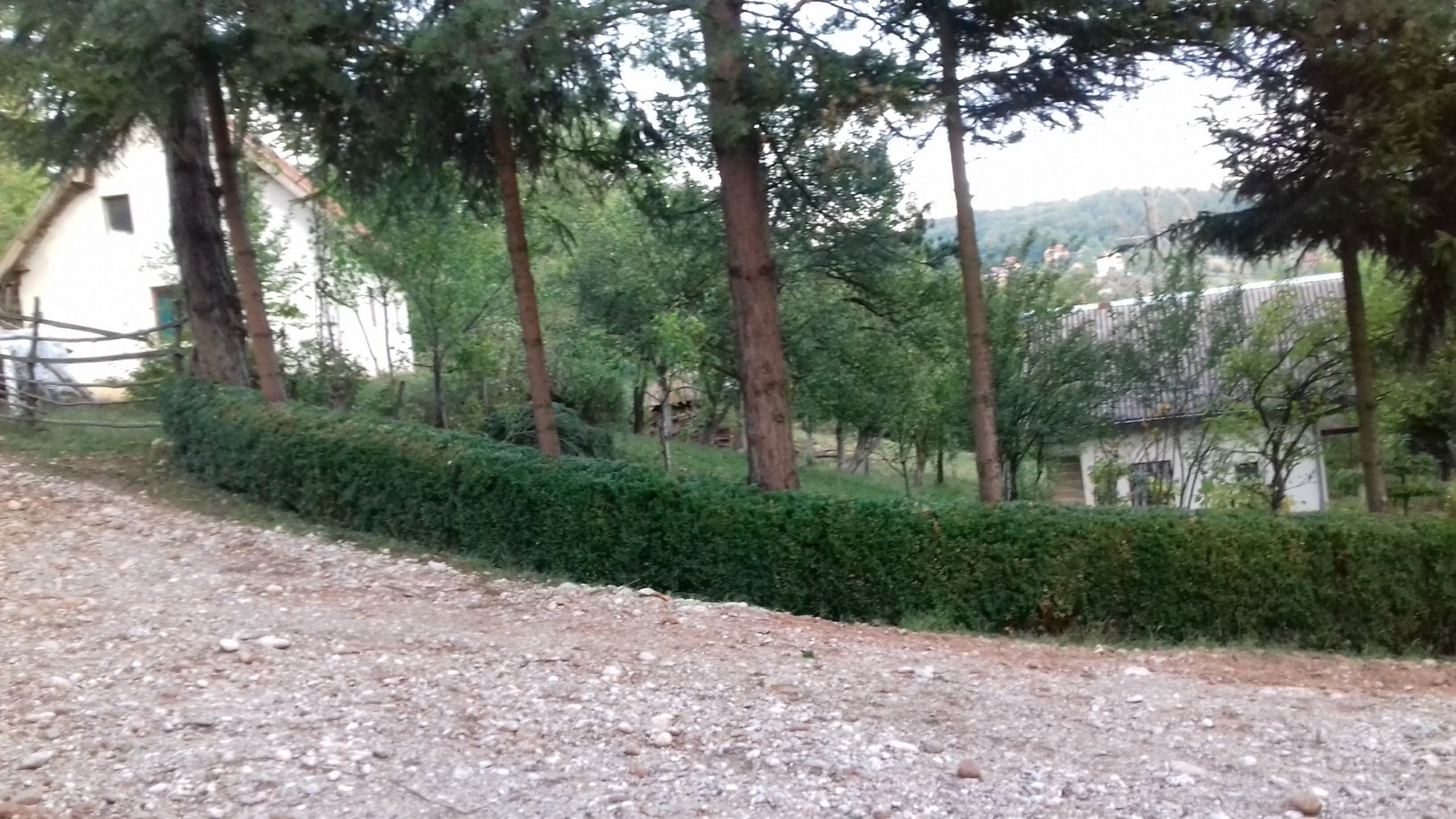 IMG 3fc239c8d981ce1fab34f00c30ddc77d V