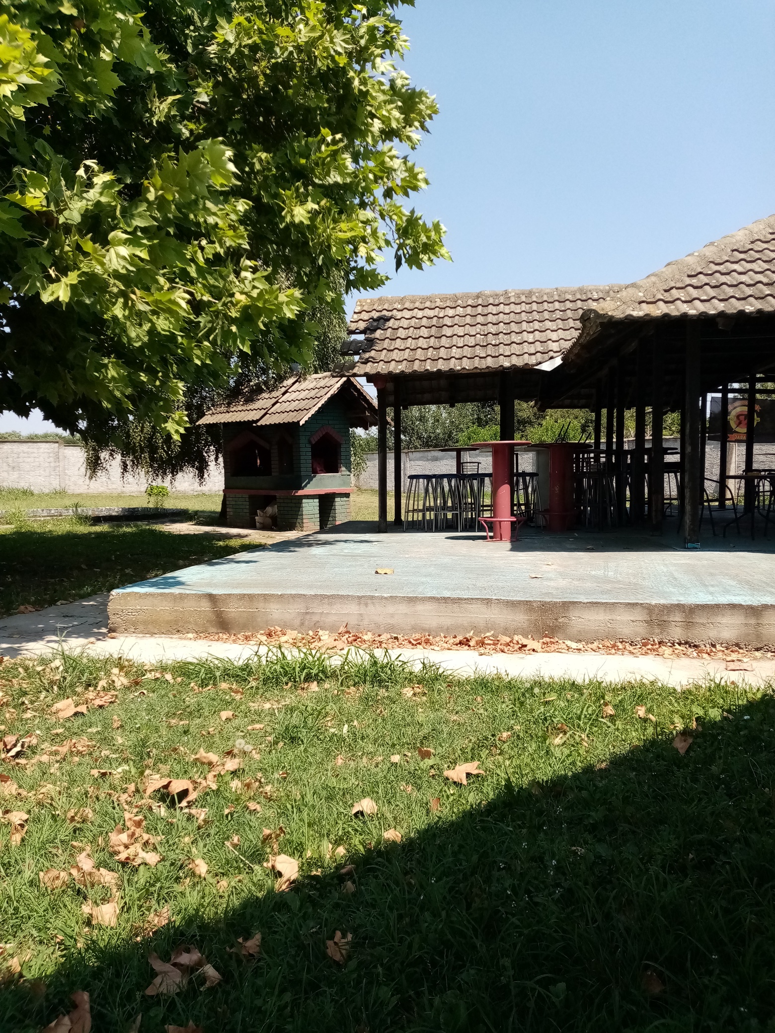 IMG 20230718 113626