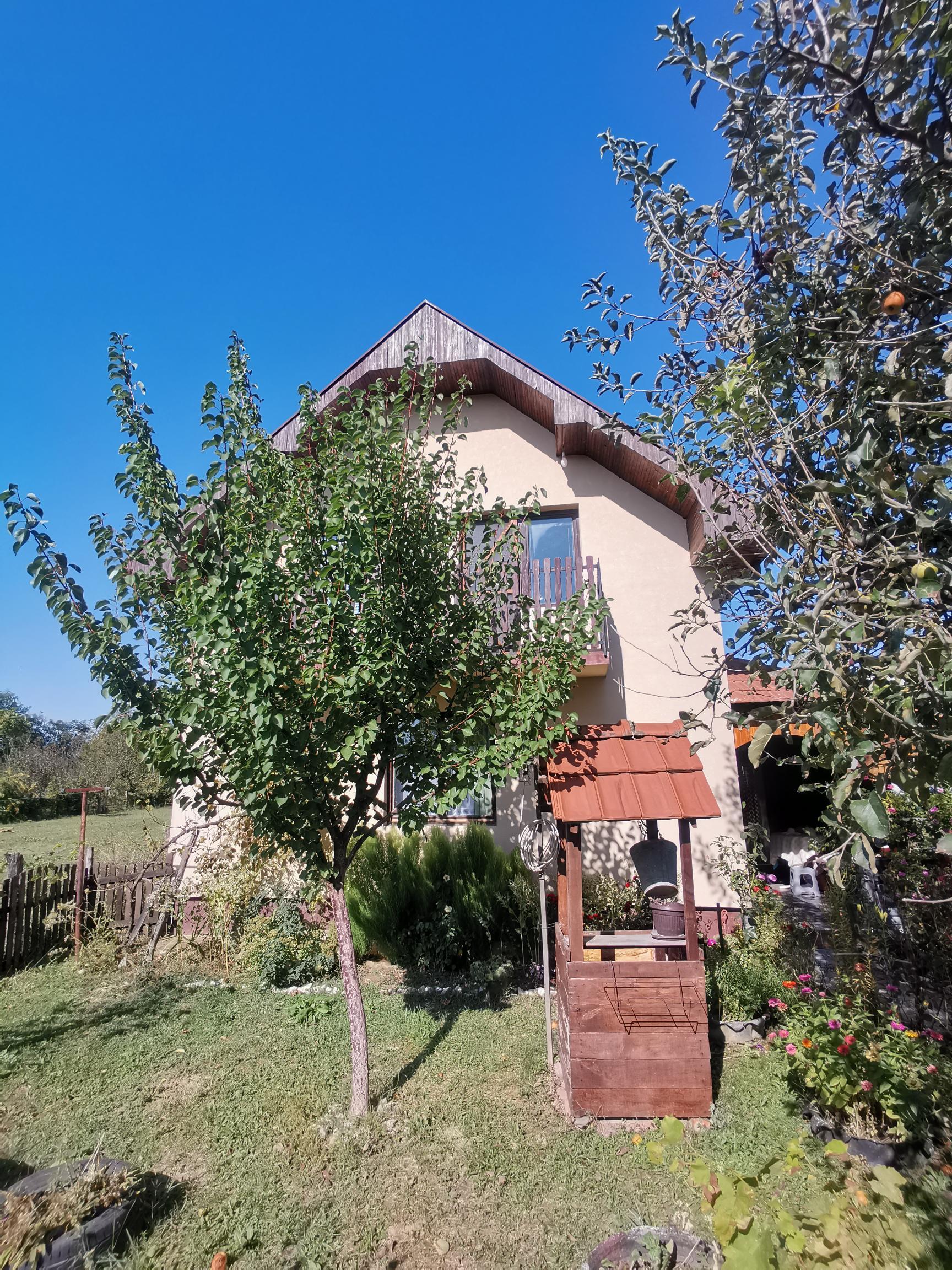 IMG 20230928 143814