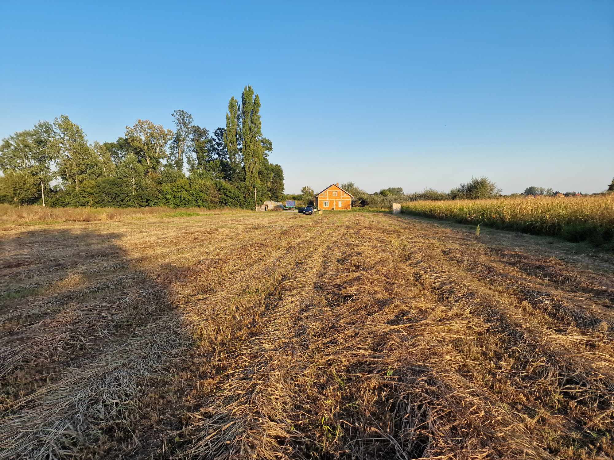 377948180 689706009253838 4777841501426341449 n