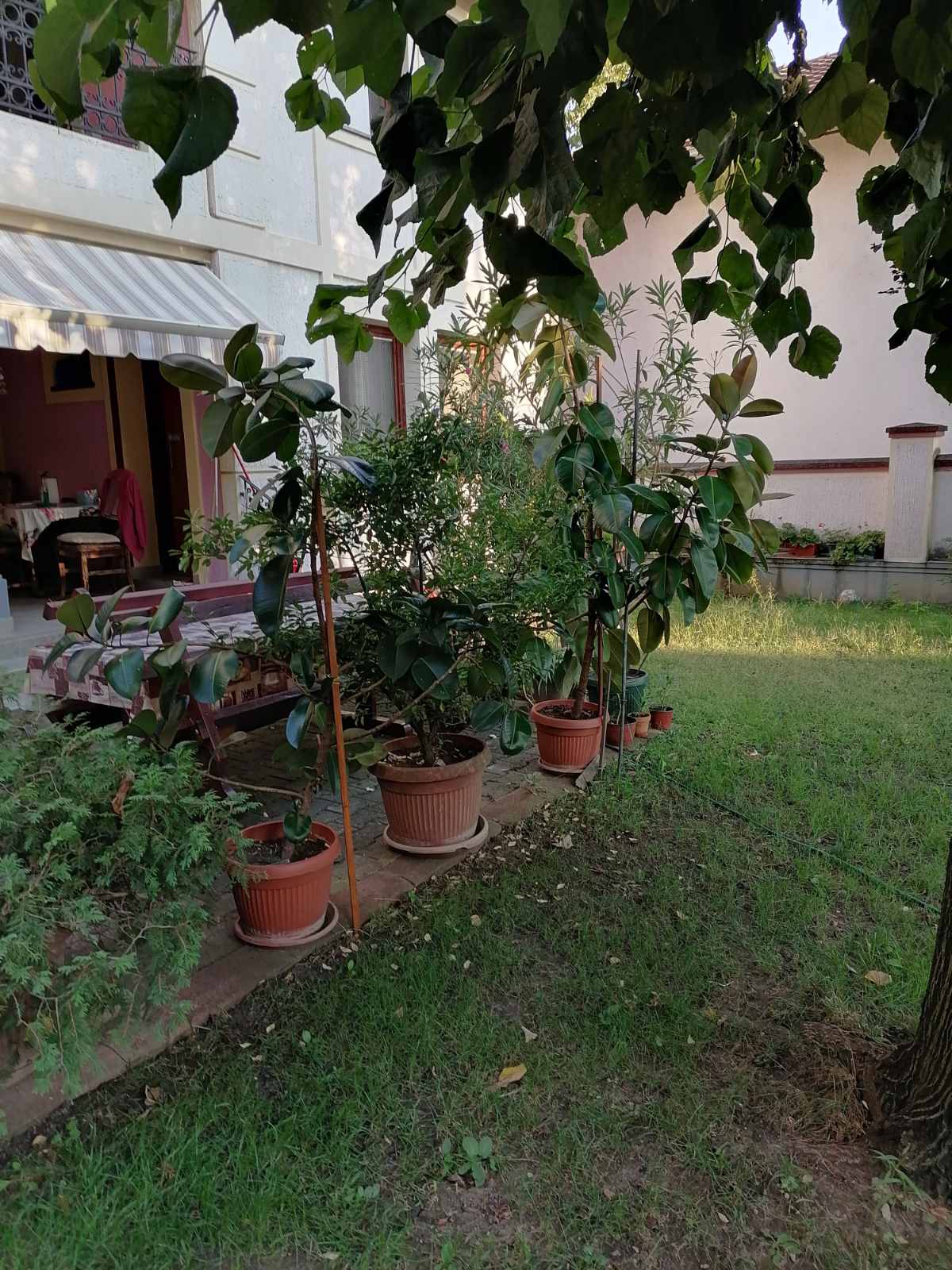 IMG 3e728243f4c539d7e19449d028b9bc55 V