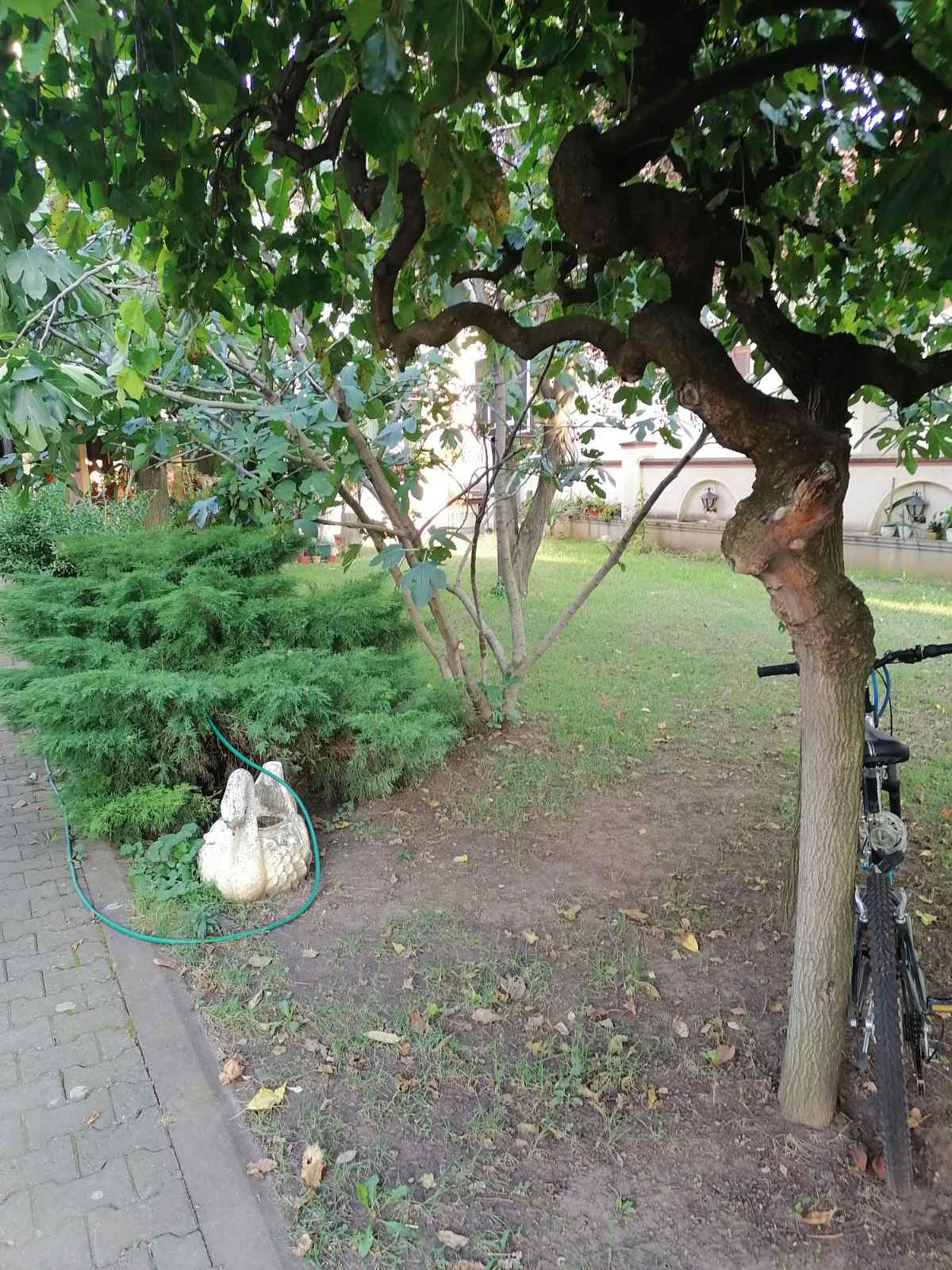 IMG aeee4dc64b7d5d1b891f51dd78fabcc8 V