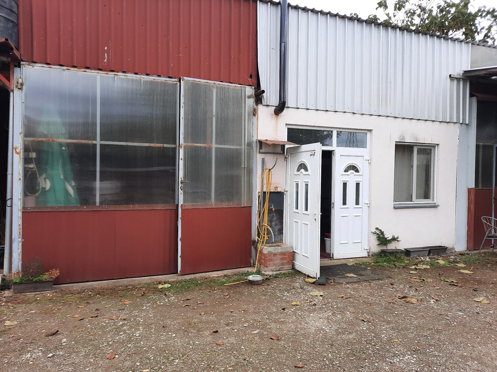 Resize 20231029 113342 2053