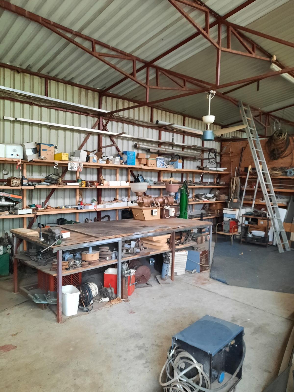 Resize 20231029 113348 8139