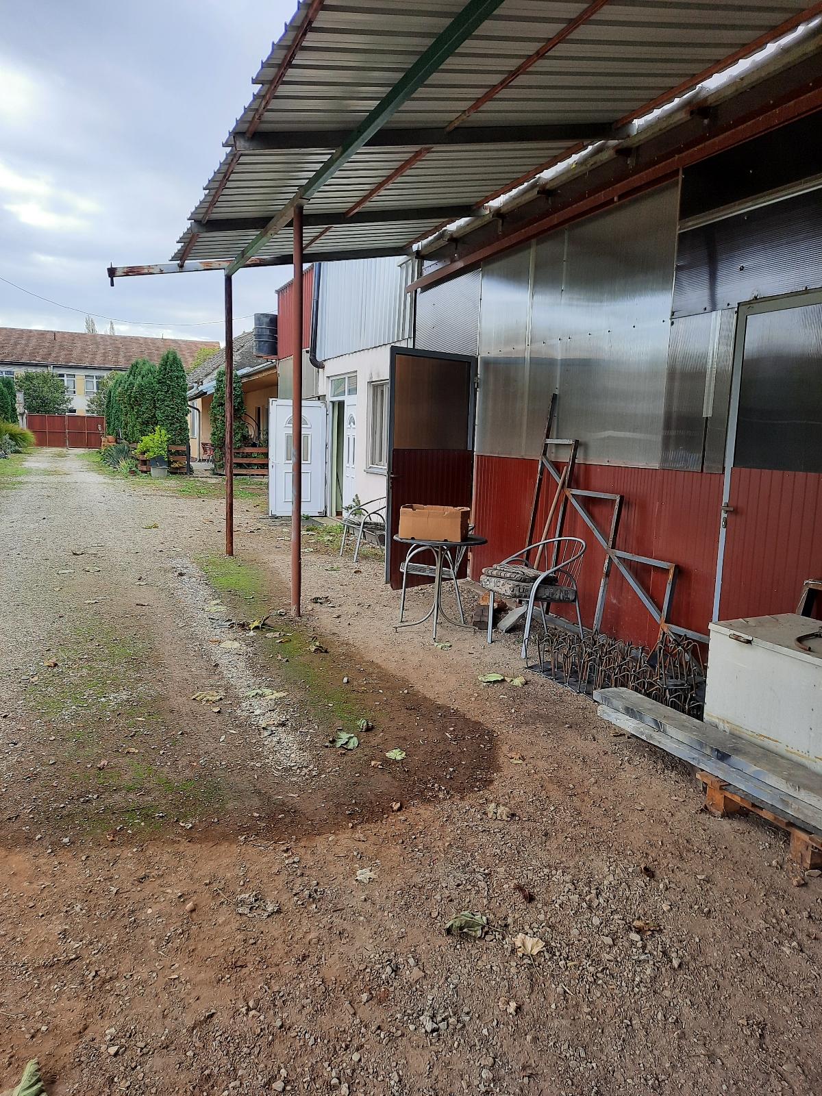 Resize 20231029 113354 4359