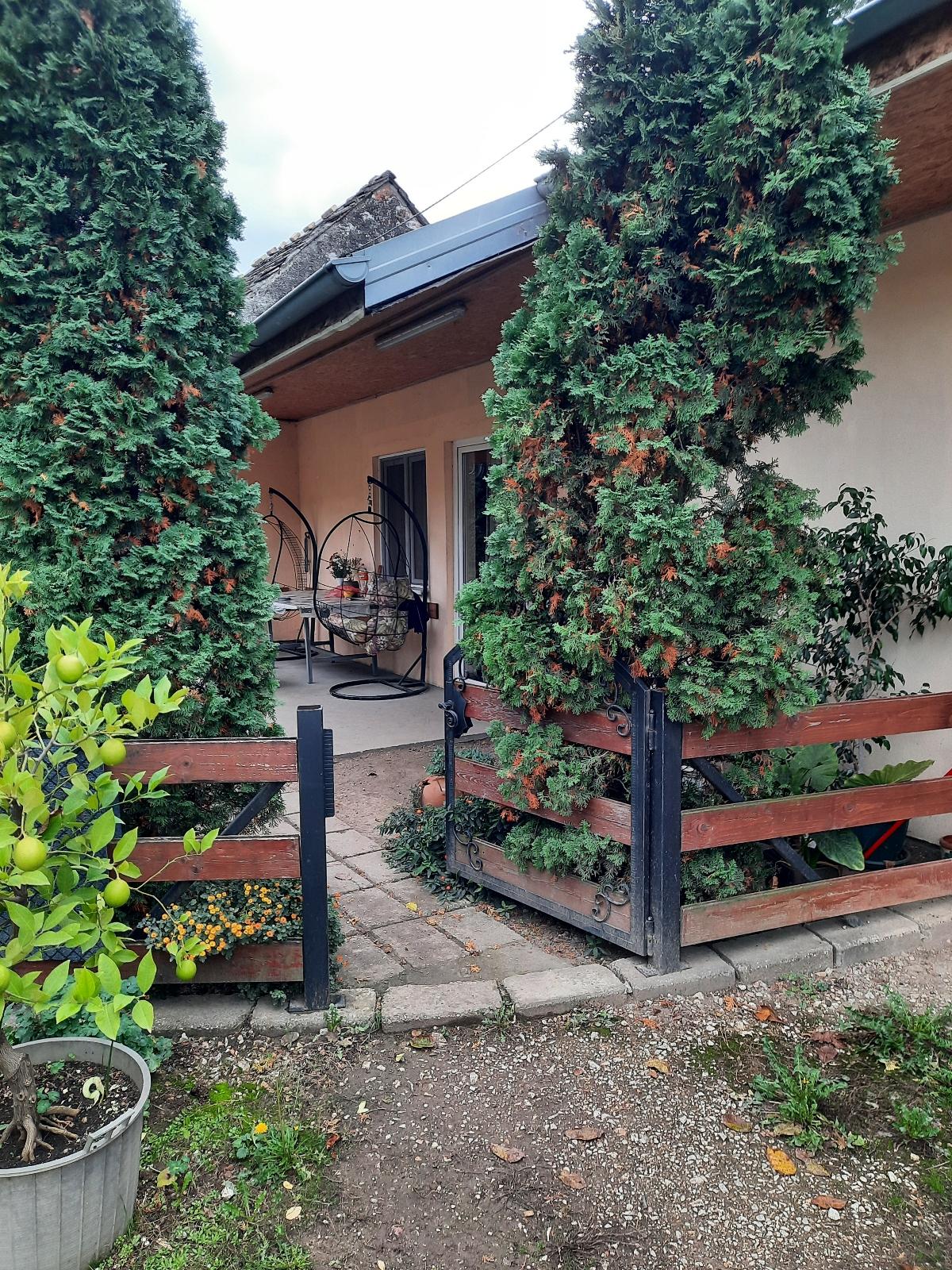 Resize 20231029 113358 8740