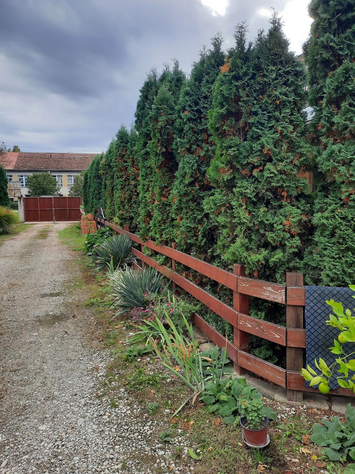 Resize 20231029 113400 0300