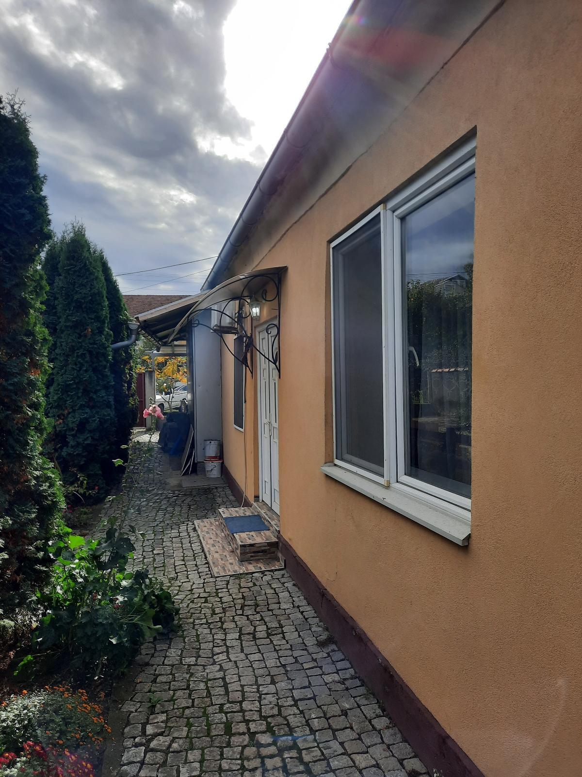 Resize 20231029 113426 6485