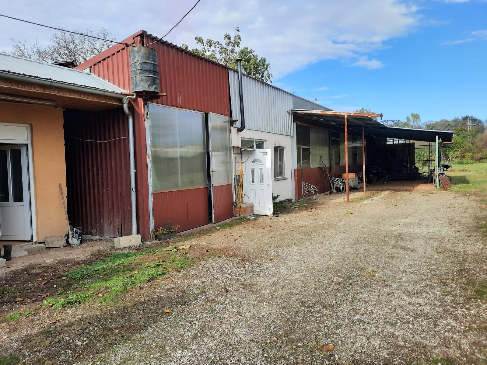 Resize 20231029 113430 0905