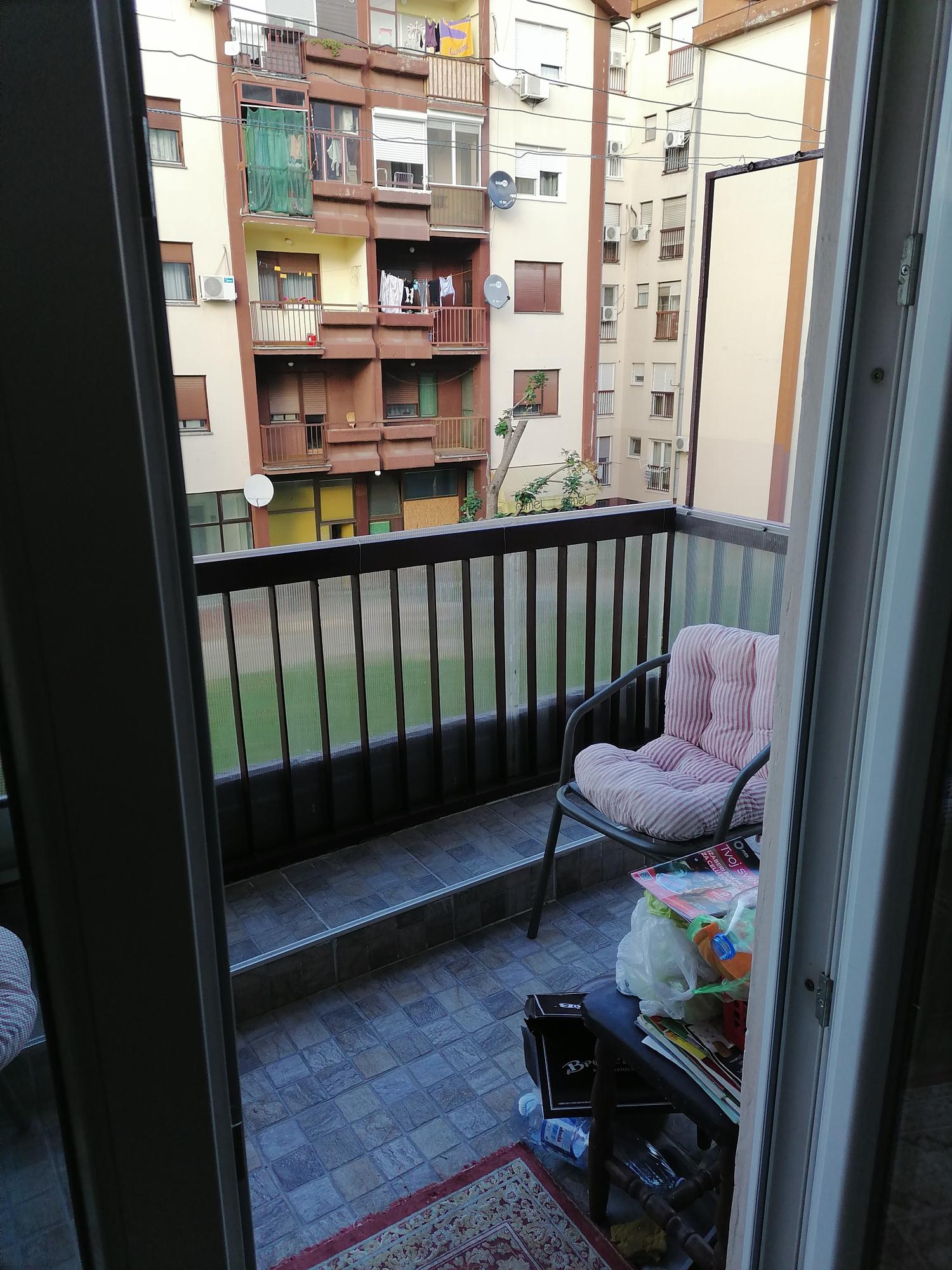 IMG 20231112 143623