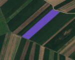 15554