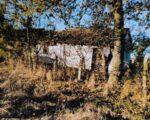 IMG 1136ecdc1f4c79357de56a675b305d49 V