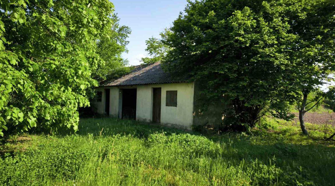 Kuća površine od 350m2 na placu od 27,57ari + voćnjak od 40,23ari-Štitar