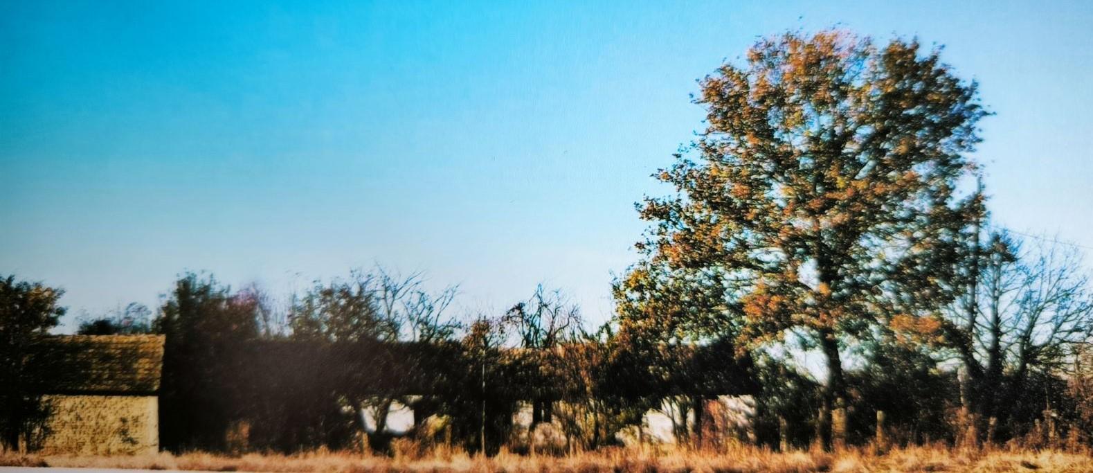 IMG fbf264594e67cd7d1a79e318b8f1eb0b V