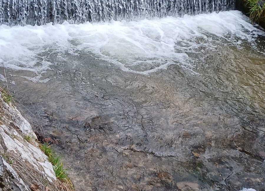 Ekskluzivna ponuda!Parcele ukupne površine od 10.312m2 u netaknutoj prirodi na Suvoj planini