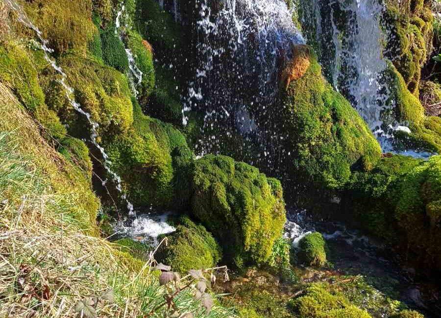 Ekskluzivna ponuda!Parcele ukupne površine od 10.312m2 u netaknutoj prirodi na Suvoj planini