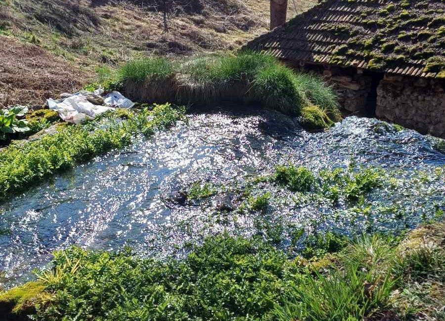 Ekskluzivna ponuda!Parcele ukupne površine od 10.312m2 u netaknutoj prirodi na Suvoj planini
