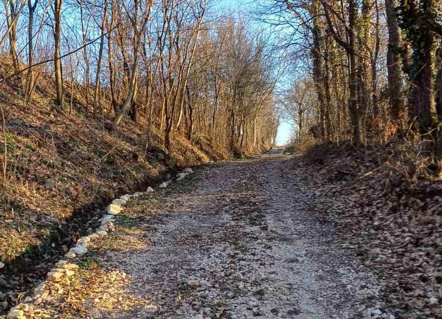Ekskluzivna ponuda!Parcele ukupne površine od 10.312m2 u netaknutoj prirodi na Suvoj planini