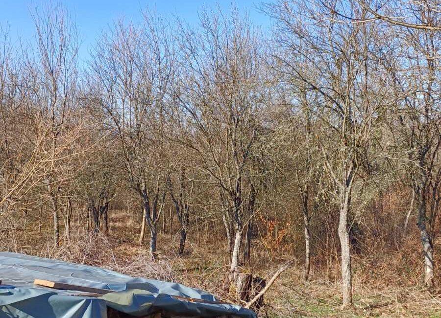 Ekskluzivna ponuda!Parcele ukupne površine od 10.312m2 u netaknutoj prirodi na Suvoj planini