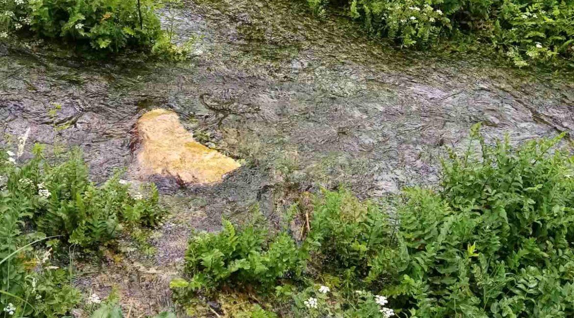 Ekskluzivna ponuda!Parcele ukupne površine od 10.312m2 u netaknutoj prirodi na Suvoj planini