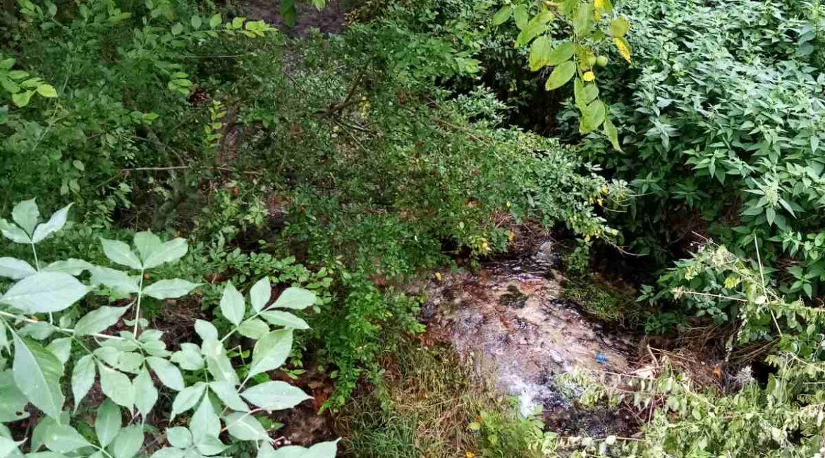 Ekskluzivna ponuda!Parcele ukupne površine od 10.312m2 u netaknutoj prirodi na Suvoj planini