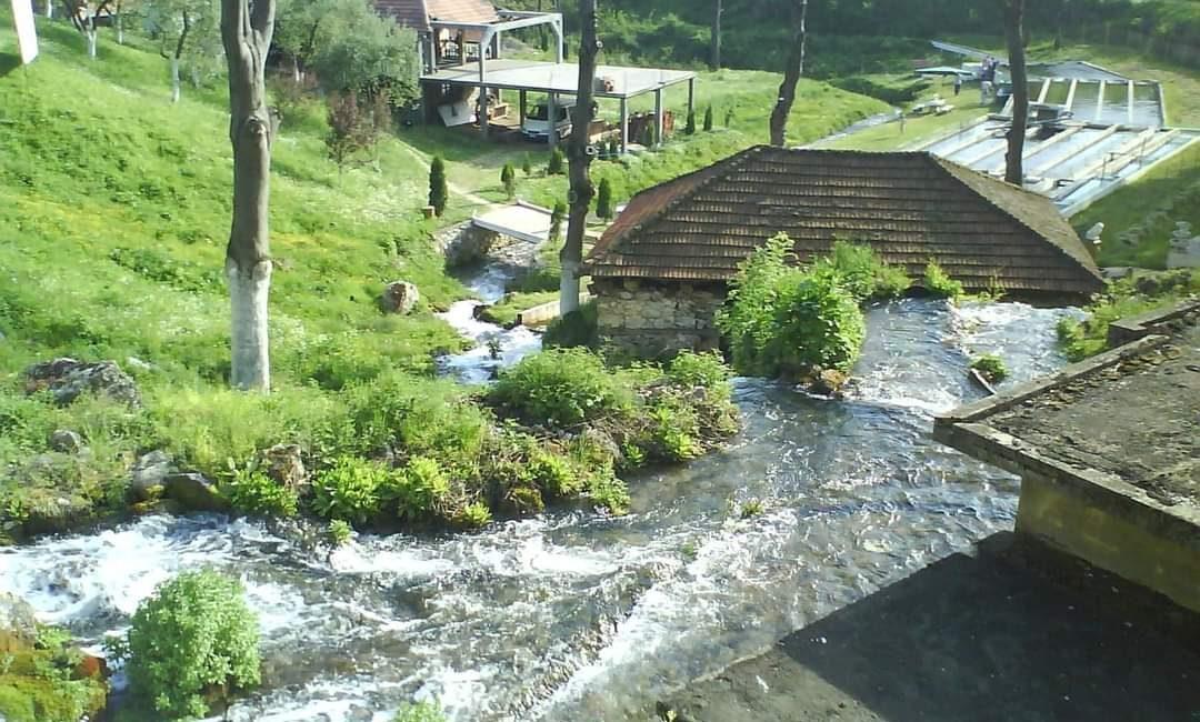 Ekskluzivna ponuda!Parcele ukupne površine od 10.312m2 u netaknutoj prirodi na Suvoj planini