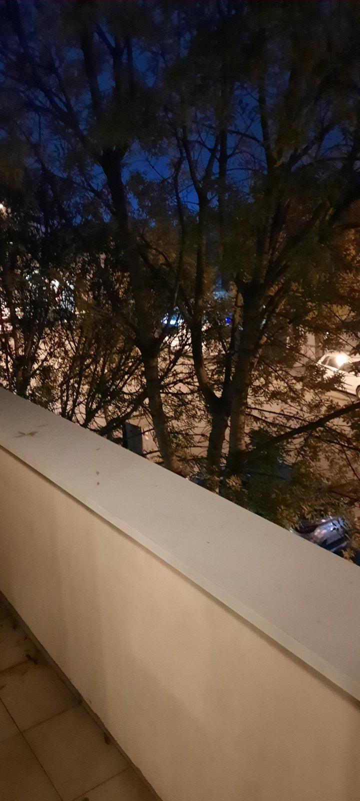 viber slika 2024 11 13 15 06 22 422