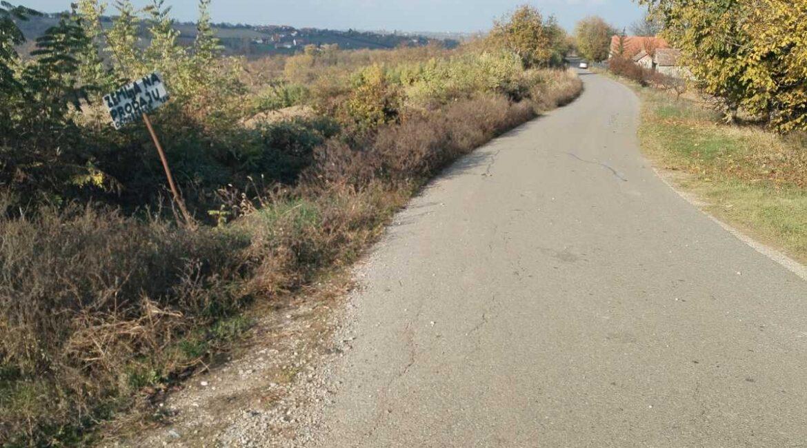 Parcela površine 1.60.96 ha u selu Krnule,opština Vladimirci-TOPLA PREPORUKA!