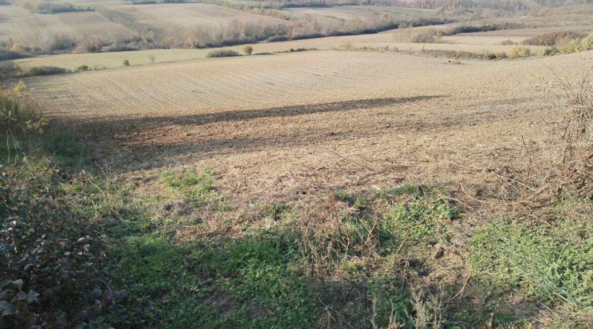 Parcela površine 1.60.96 ha u selu Krnule,opština Vladimirci-TOPLA PREPORUKA!