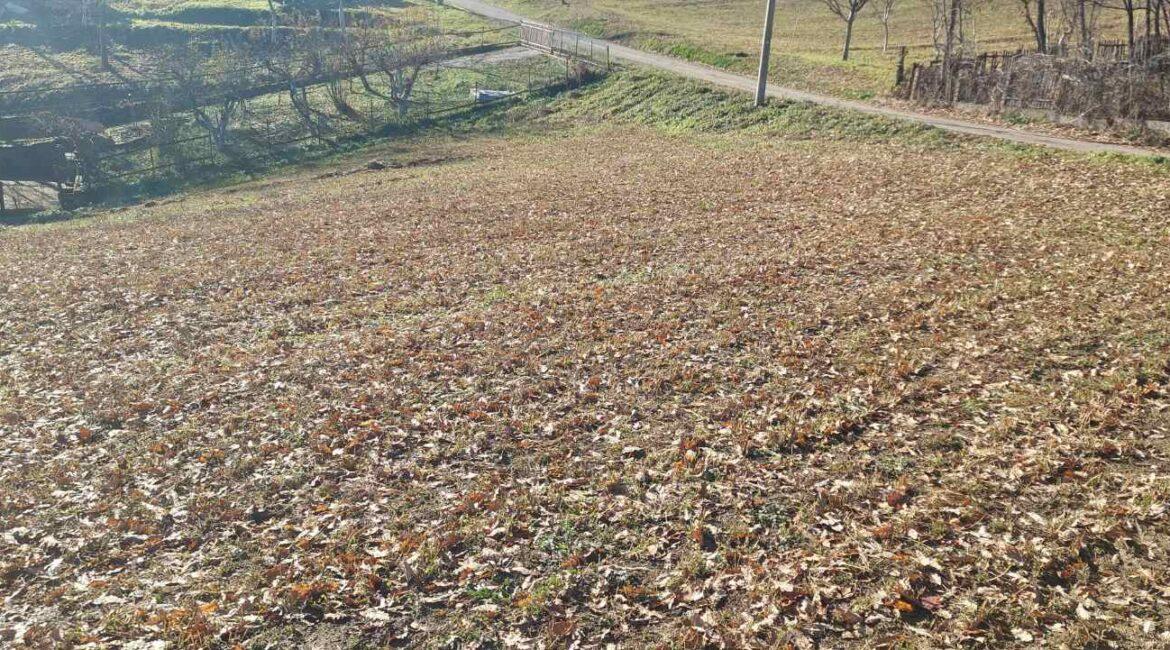 Prodaje se ekstra povoljno poljoprivredna parcela od 65,44 ari u Korenita,opština Loznica