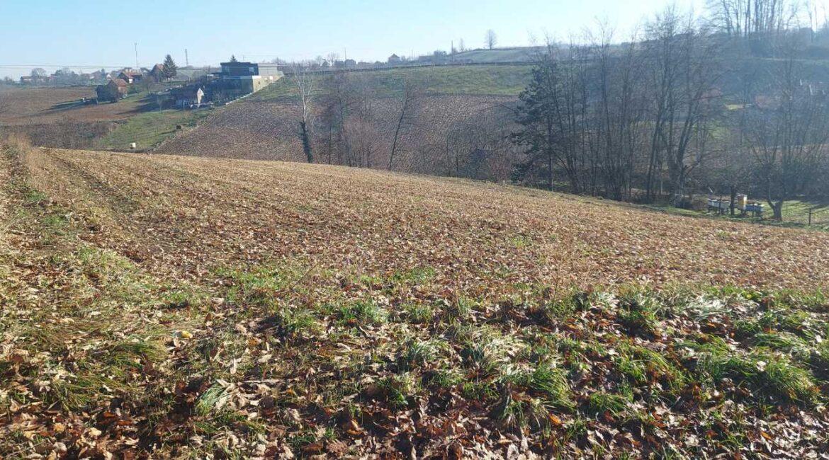 Prodaje se ekstra povoljno poljoprivredna parcela od 65,44 ari u Korenita,opština Loznica