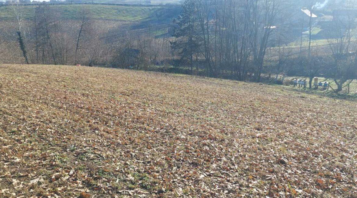 Prodaje se ekstra povoljno poljoprivredna parcela od 65,44 ari u Korenita,opština Loznica
