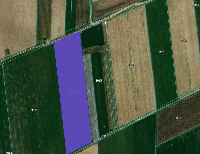 Na prodaju parcela površine od 73,21 ara sa zasadom lešnika – MAJUR
