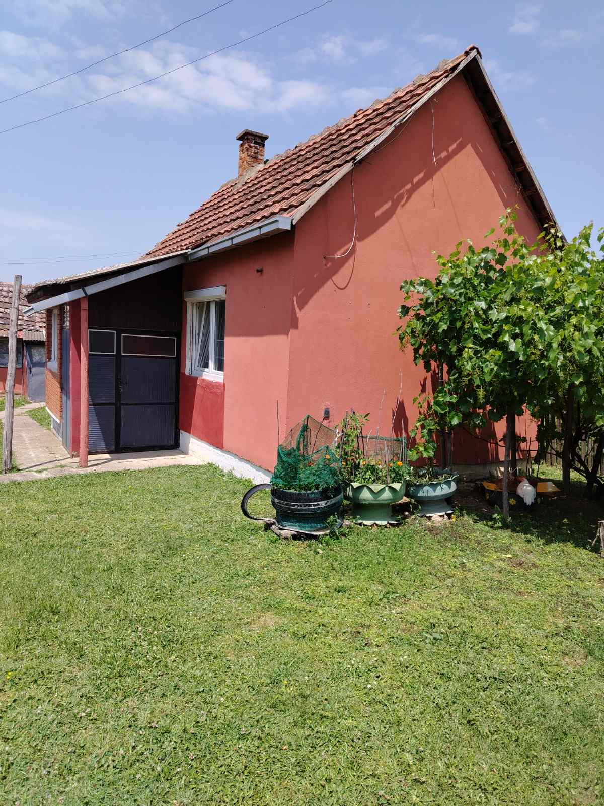 viber slika 2025 06 10 08 45 19 582