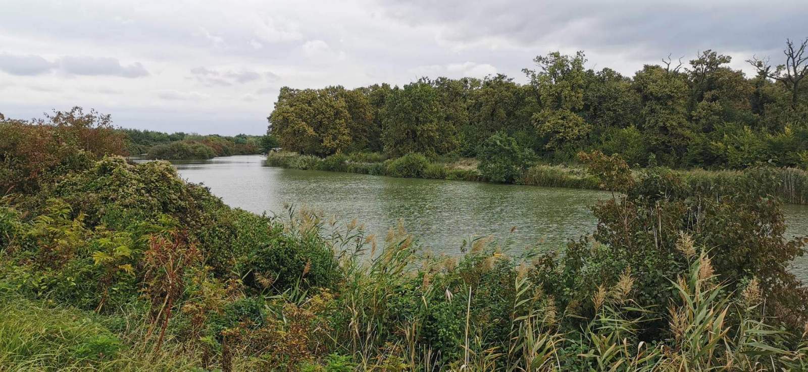 viber slika 2025 06 17 14 49 51 464