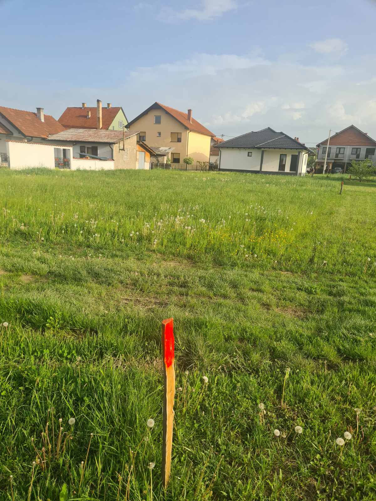 viber slika 2025 06 23 07 49 35 266