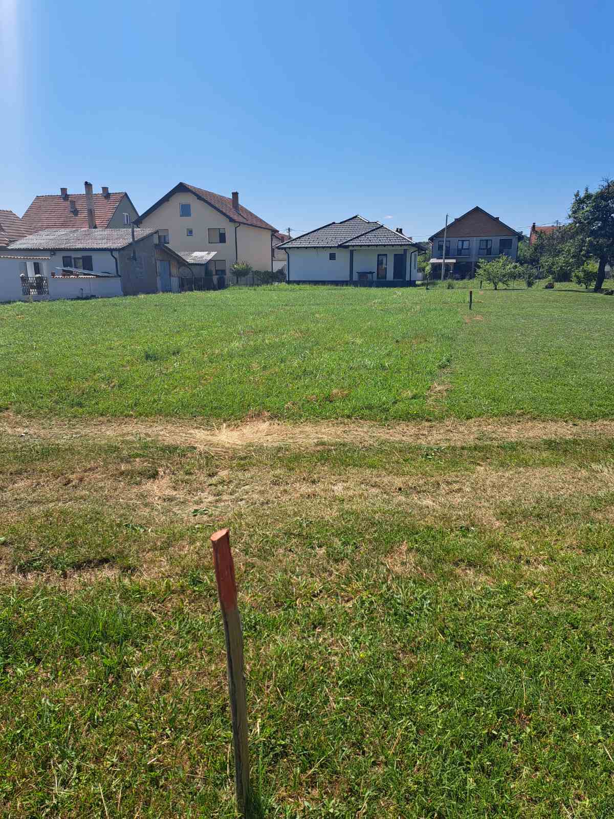 viber slika 2025 06 23 07 49 46 465