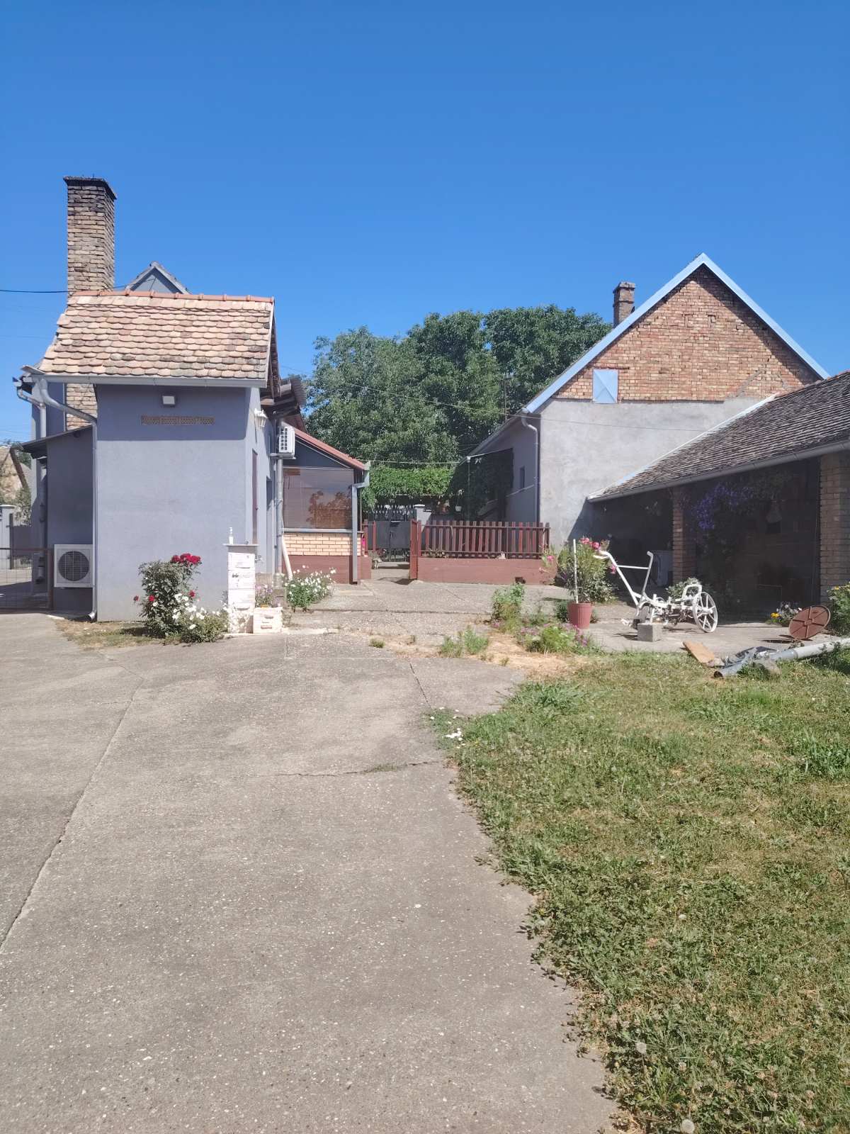 viber slika 2025 06 24 00 29 22 903