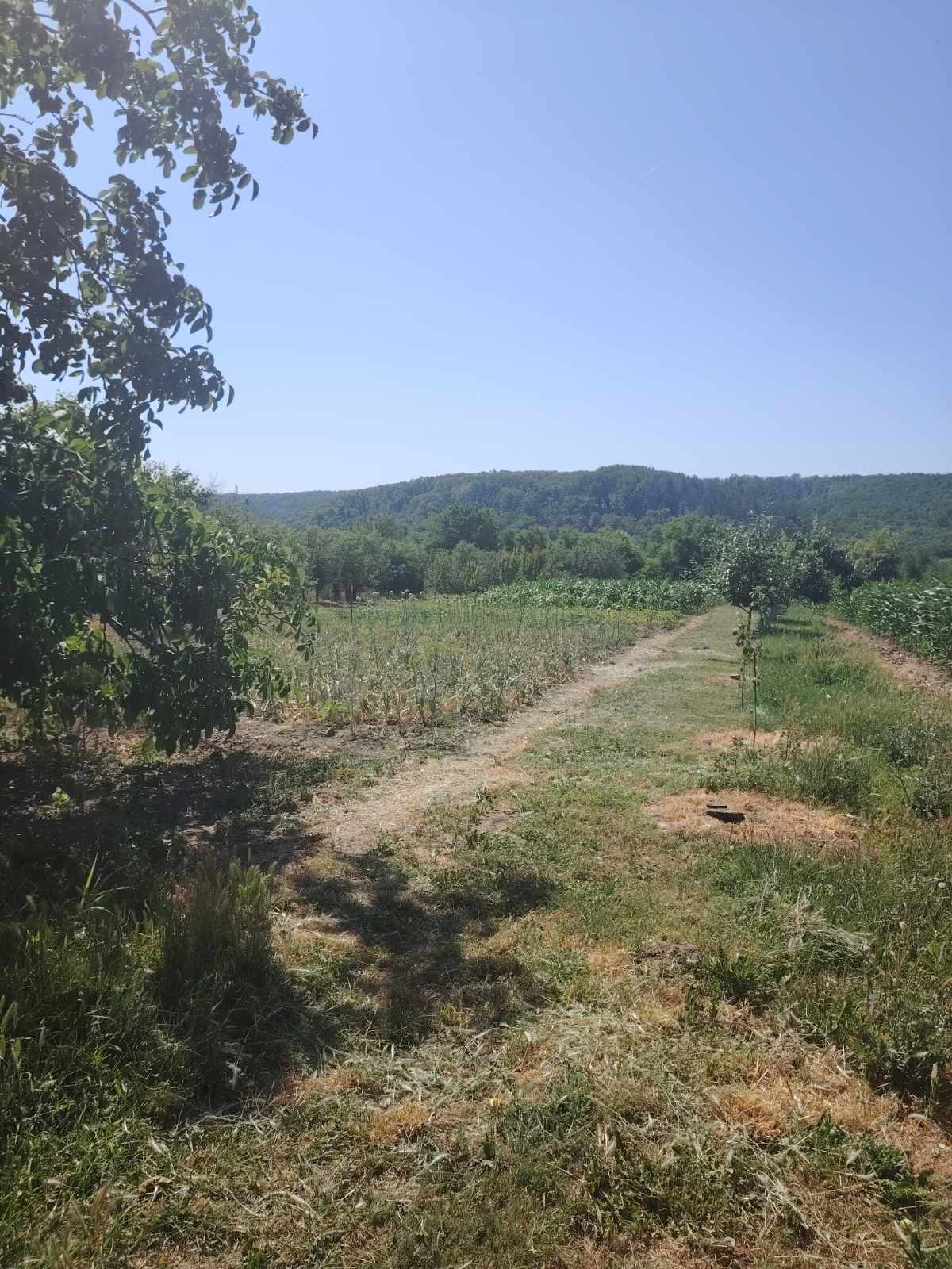 viber slika 2025 06 24 00 29 23 152