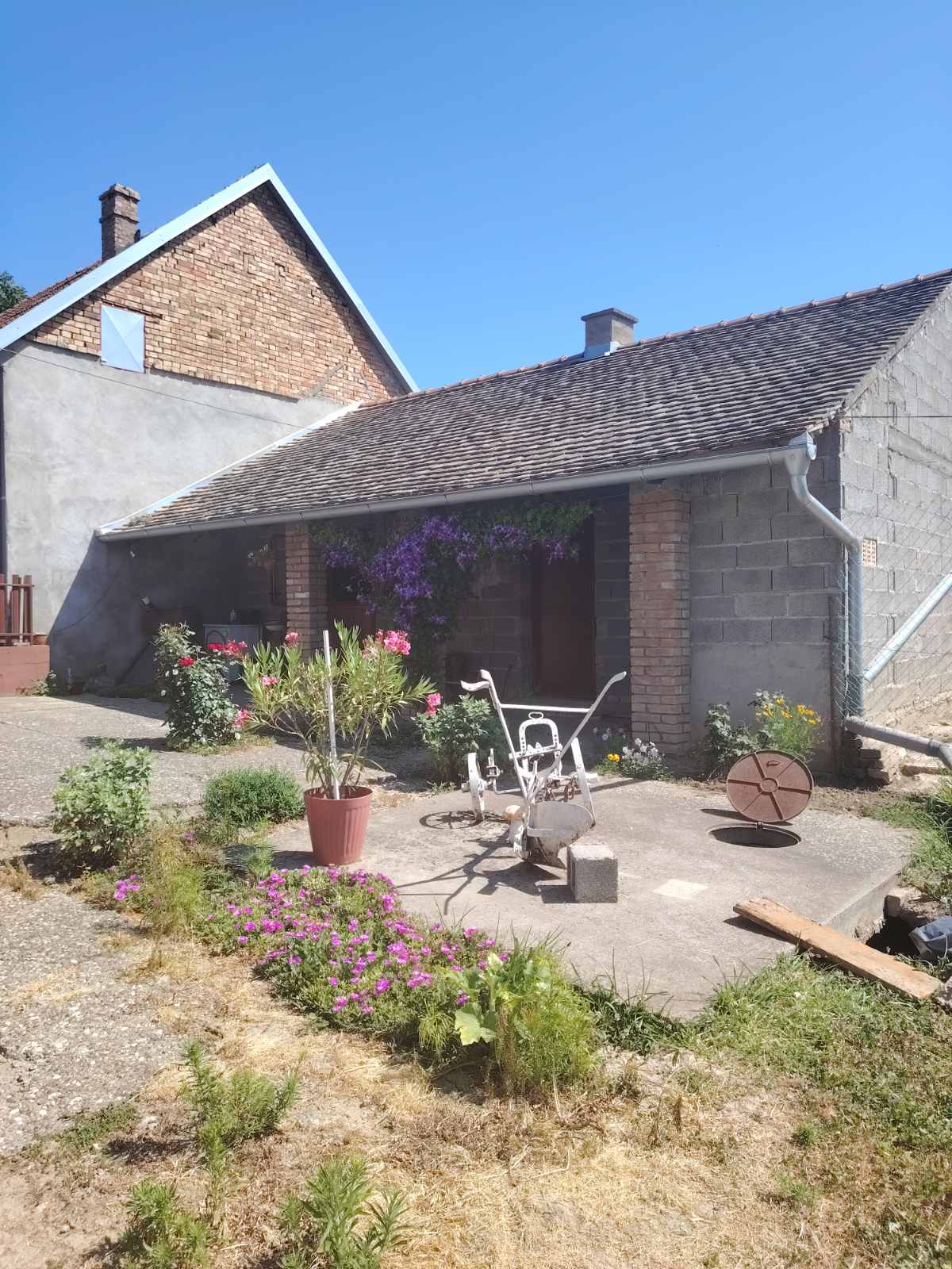 viber slika 2025 06 24 00 29 23 290