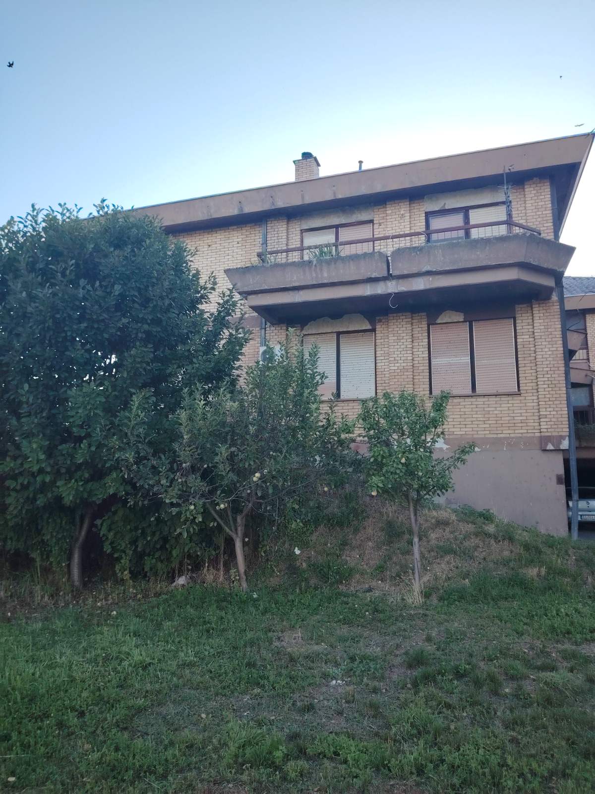 viber slika 2025 08 06 23 52 28 169