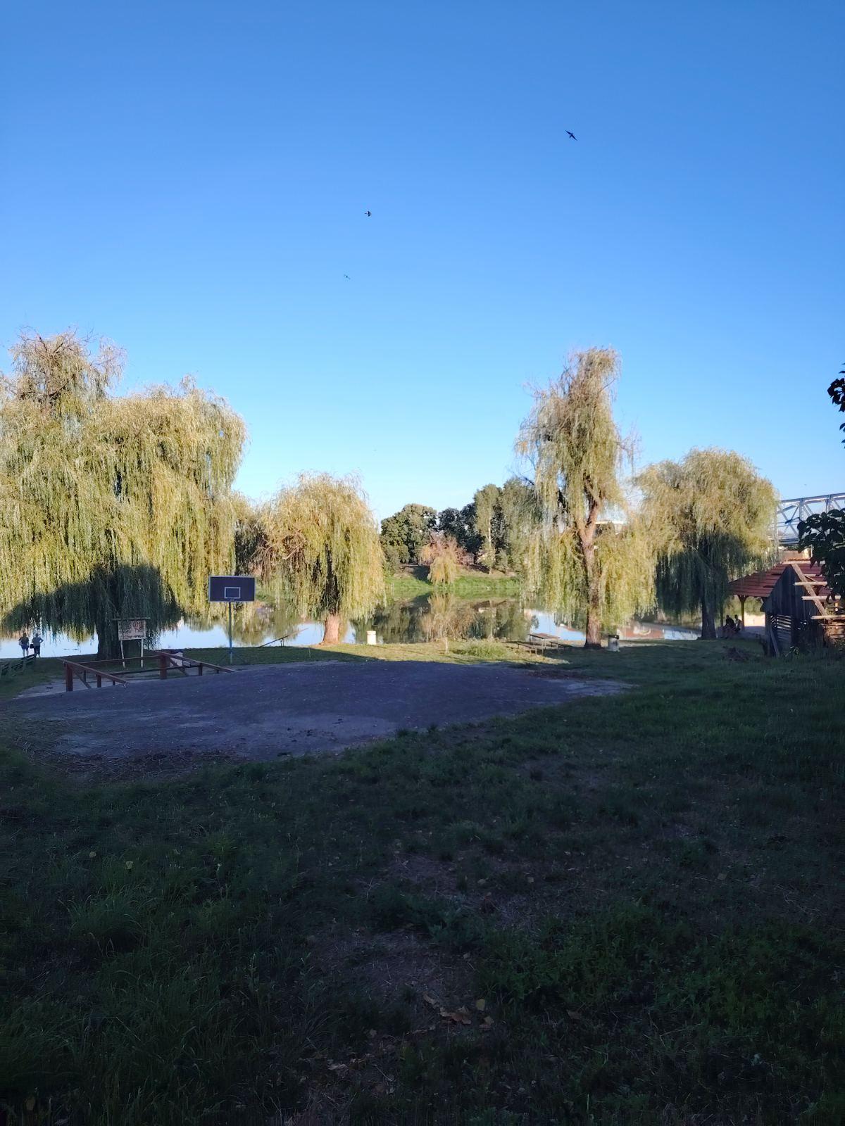 viber slika 2025 08 06 23 52 29 321