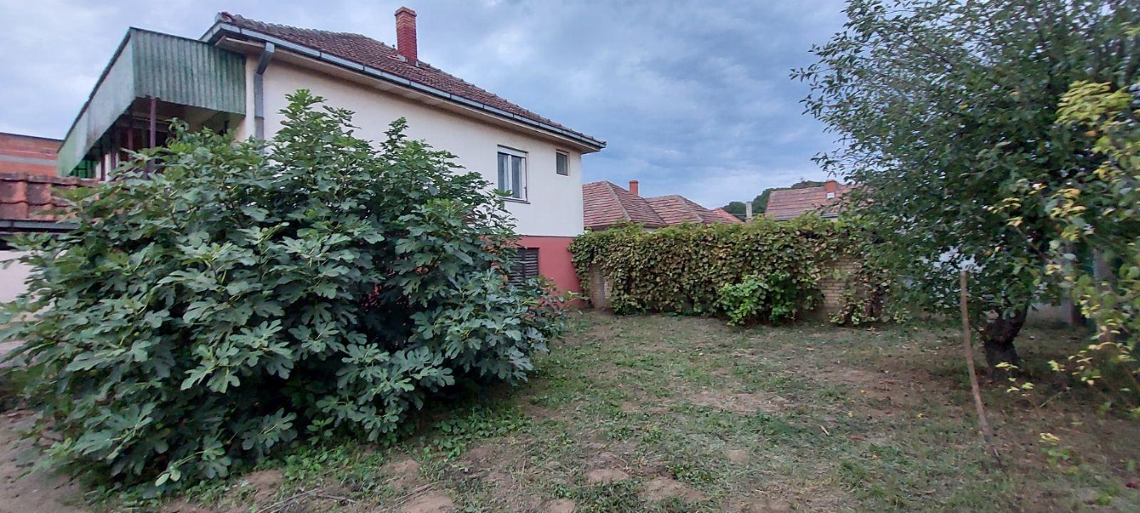 viber slika 2025 09 20 16 14 15 997