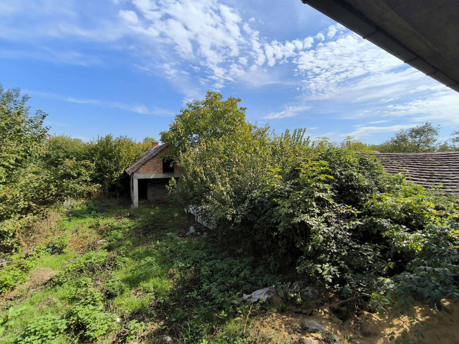 viber slika 2025 09 24 13 24 34 350