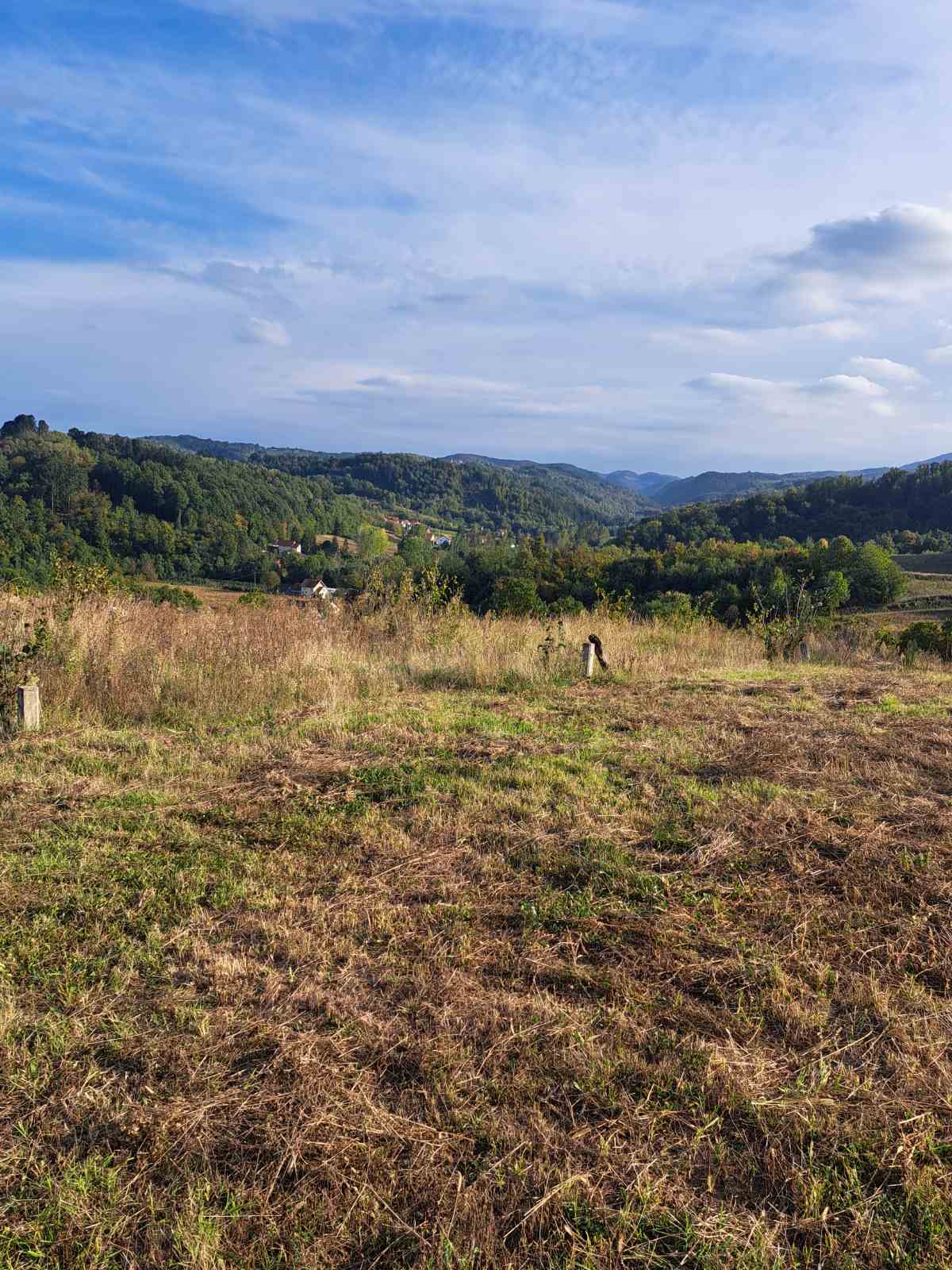 viber slika 2025 09 29 08 38 49 052