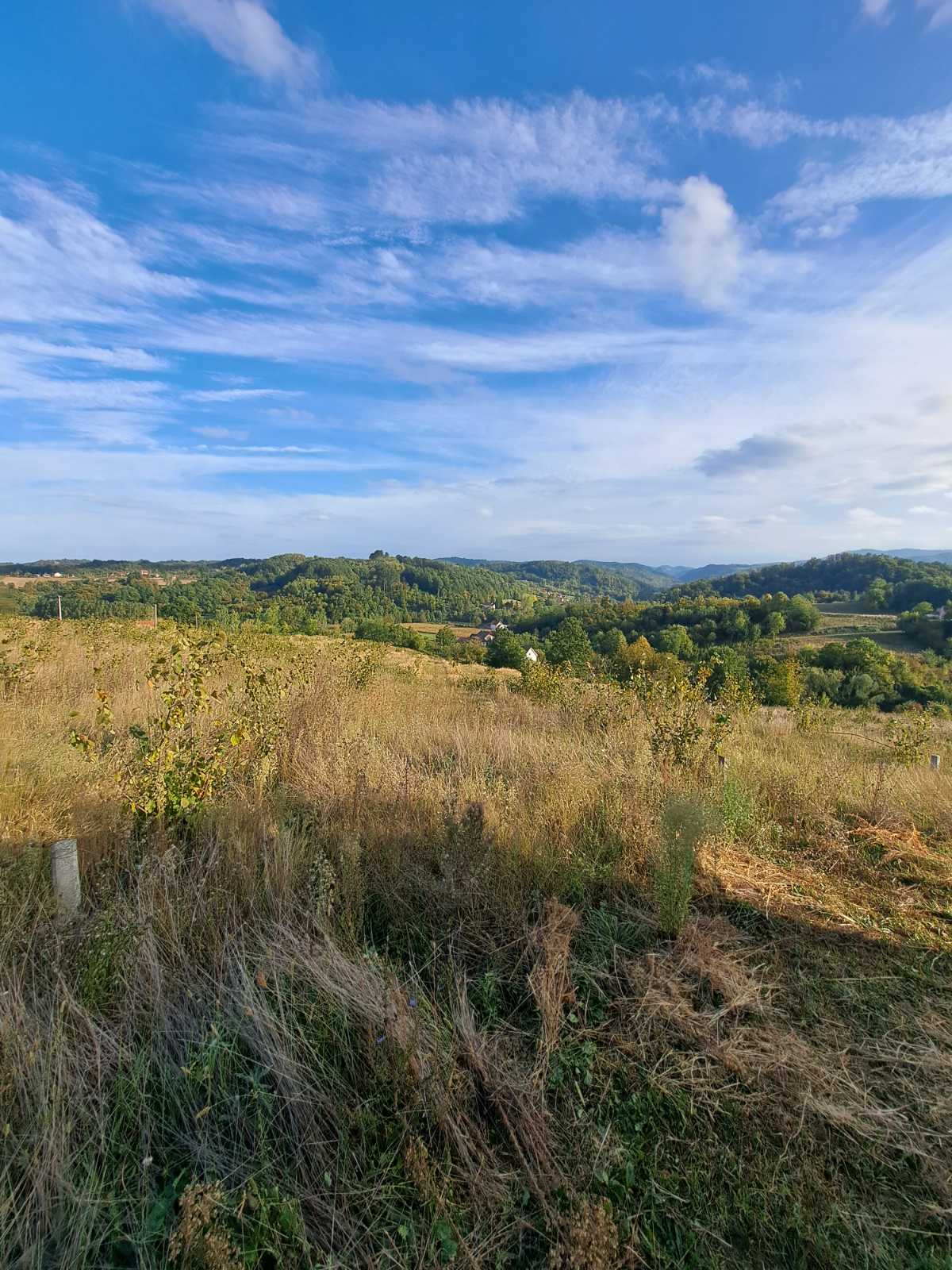 viber slika 2025 09 29 08 38 49 825