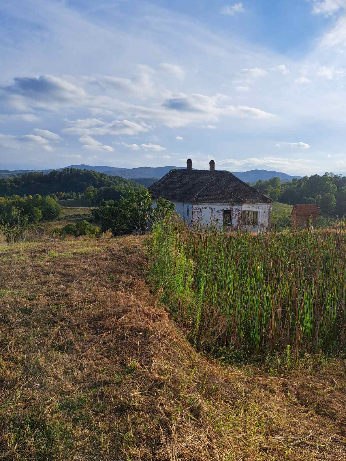 viber slika 2025 09 29 08 38 51 996