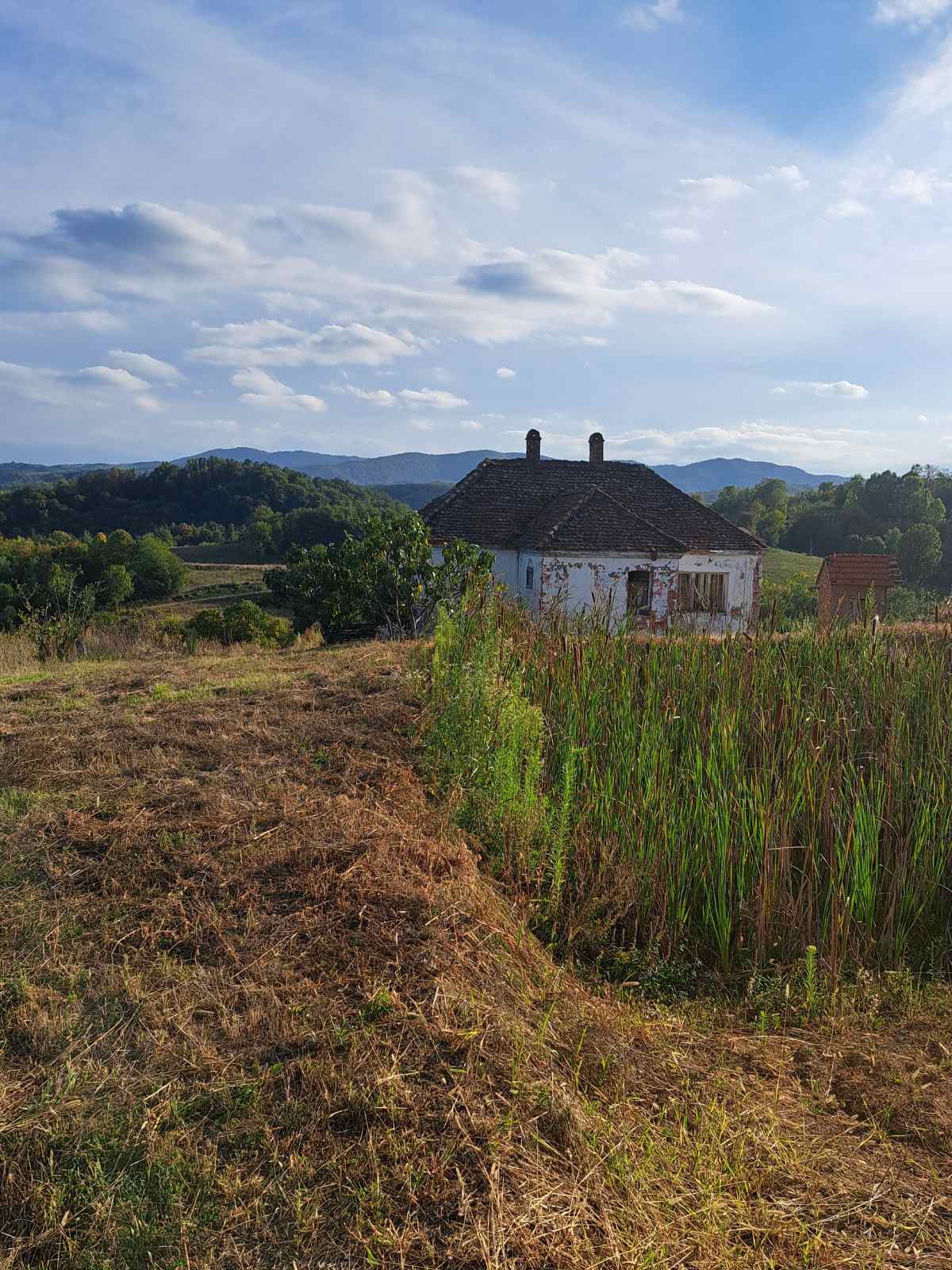 viber slika 2025 09 29 08 43 40 499